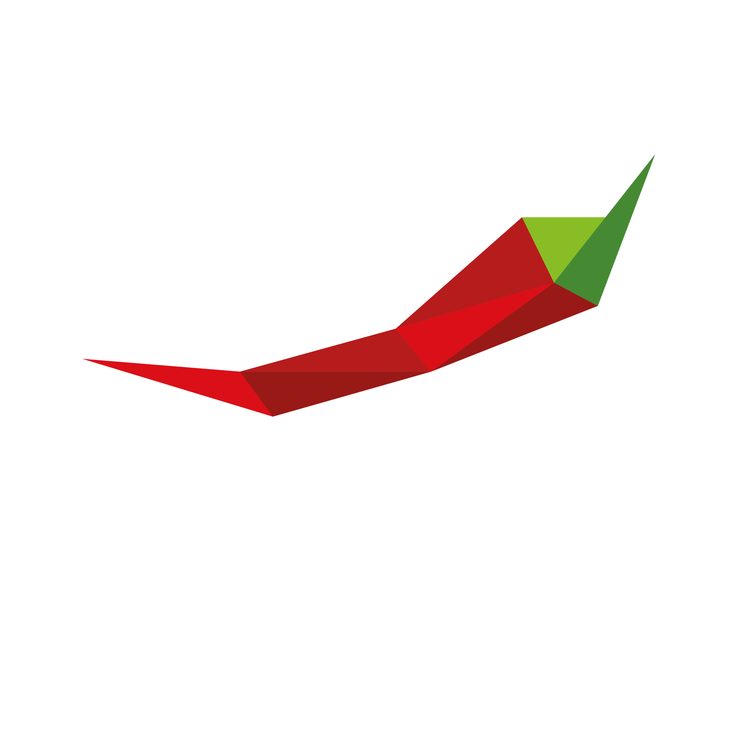 CAYENNE
